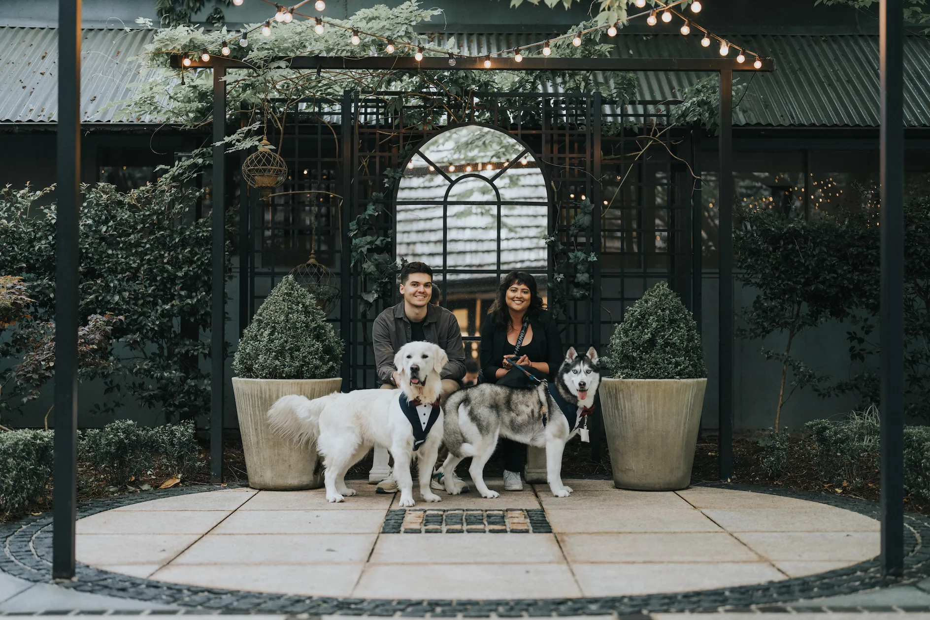 The Mrs Barker's team poses with a golden retriever and a husky at a wedding.
