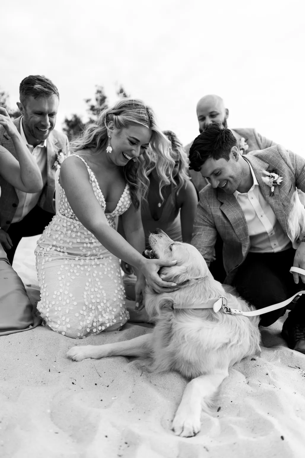 A golden retriever lays on the beach surrounded by the bridal party, getting pats from the bride - absolutely thrilled.
