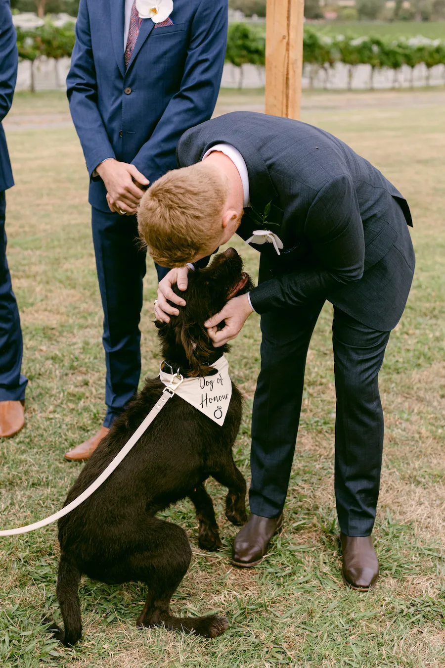 The groom at his wedding pats a very happy, chocolate labradoodle.